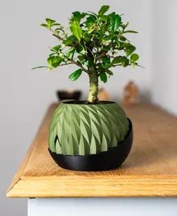 Aegis Planter | Self-Watering Indoor Pot with Scaled finish