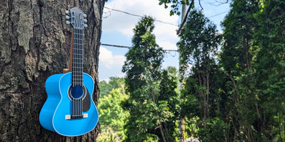 Classic Guitar Birdhouse | 13x10x25cm Music-Themed Garden Gift