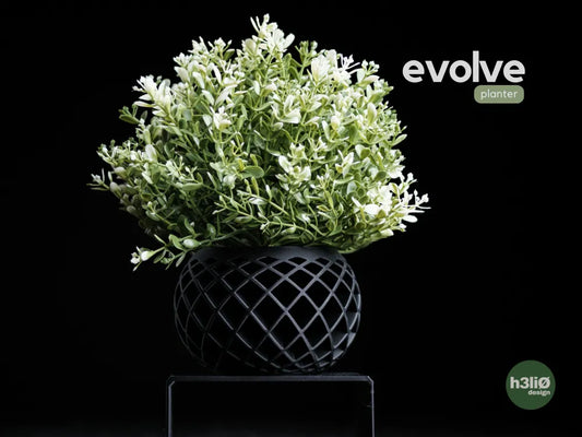 Evolve Minimalist Geometric Planter — Lattice Design for Small Plants