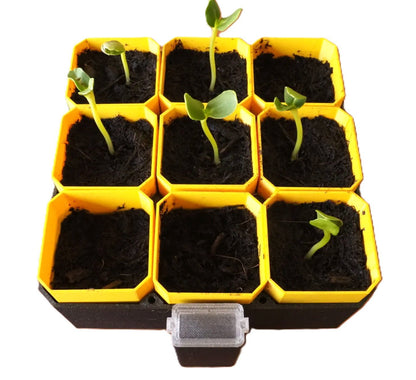 3x3 Self-Watering Seedling Starter Kit showing modular planting trays with young seedlings growing in soil, designed for easy indoor gardening.