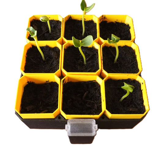 3x3 Self-Watering Seedling Starter Kit showing modular planting trays with young seedlings growing in soil, designed for easy indoor gardening.