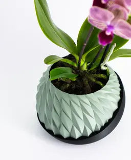 Aegis Planter | Self-Watering Indoor Pot with Scaled finish