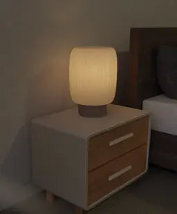 Axis Lamp | Minimalist Modern Desk Lamp