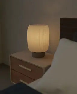 Axis Lamp | Minimalist Modern Desk Lamp