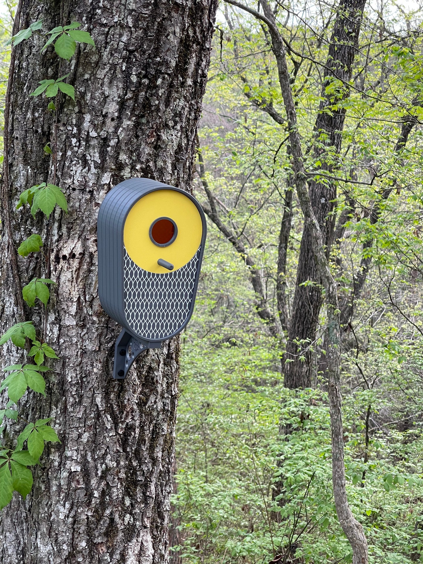 Modern Vertical Oval Birdhouse - Dark Grey with Yellow Accent