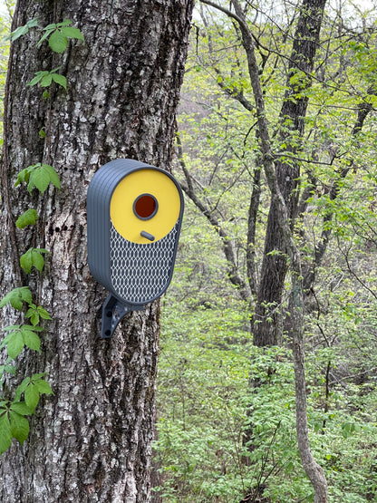 Modern Vertical Oval Birdhouse - Dark Grey with Yellow Accent