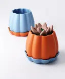 Pumpkin Planter with Drip Tray – Seasonal Gourd-Inspired Indoor Plant Pot | Modern Decorative Accent