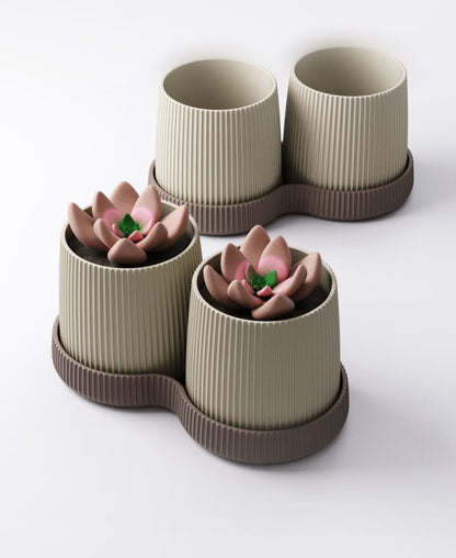 Gemini Planter with Drip Tray – Twin Ribbed Indoor Plant Pots | Balanced Modern Accent