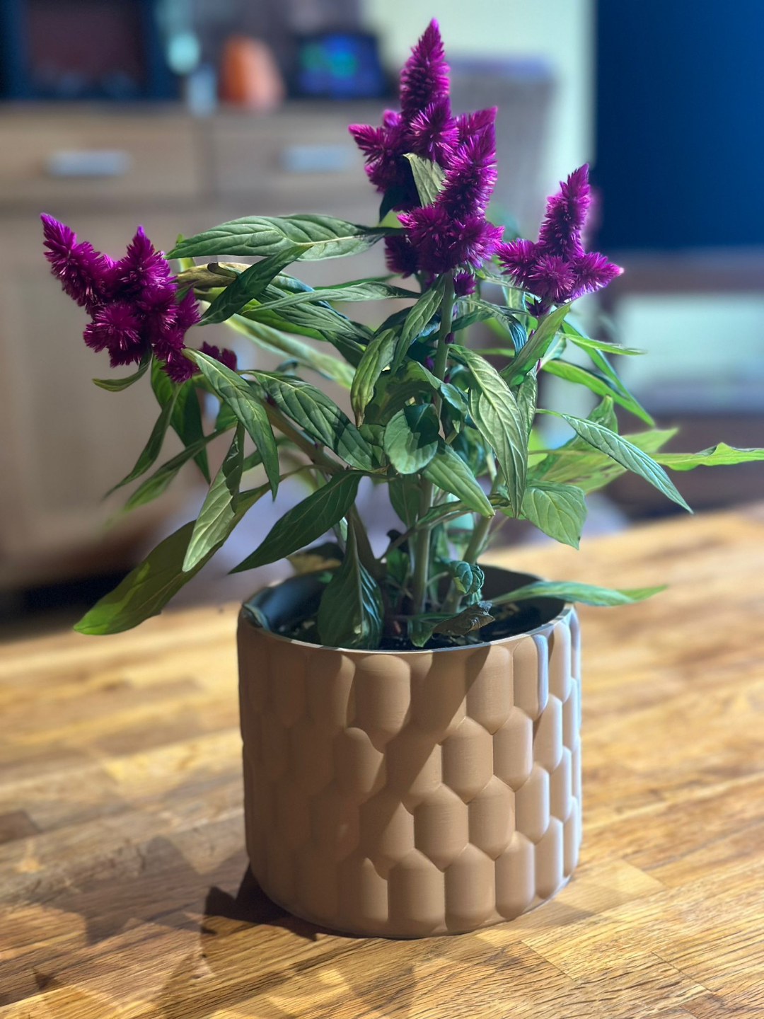 Helix Cell Planter - Modern Sculptural Indoor Planter with Textured Design