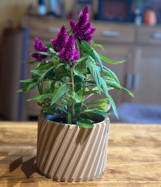 Helix Ridge Planter - Spiral Ridge Sculptural Indoor Planter