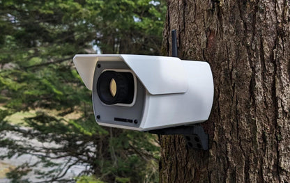 Security Camera Birdhouse - 15 × 22 × 14 cm - Novelty Outdoor Bird House