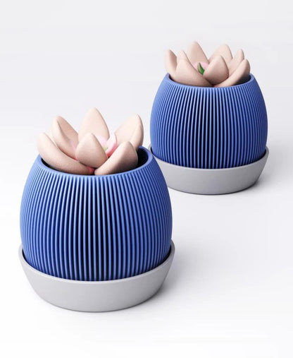 Fin Planter Type 2 with Drip Tray | 10 x 10 x 8 cm