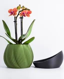 Bloomcrest Planter