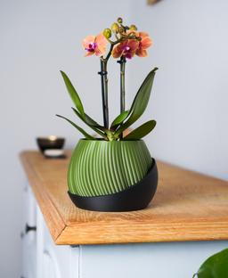 Bloomcrest Planter