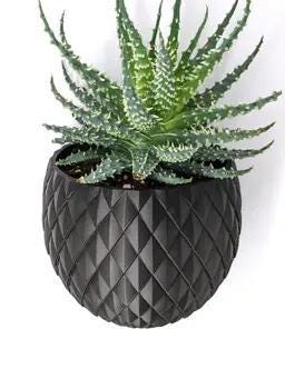 Blossomscale Wall Planter - Japandi Minimalist Wall-Mounted Plant Pot | Sculptural Indoor Décor with Mounting Block & Hardware