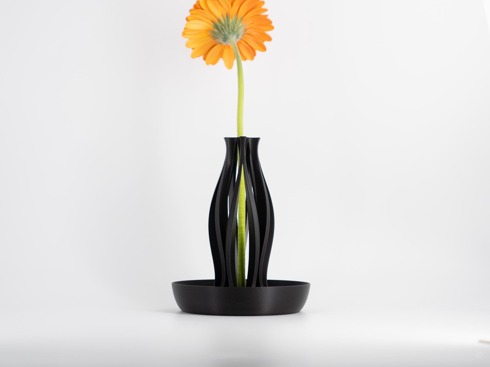 Emberflare Propagation Vase - Japandi Minimalist Artistic Vessel | Contemporary Test Tube Vase with Included 2 cm Propagation Tube