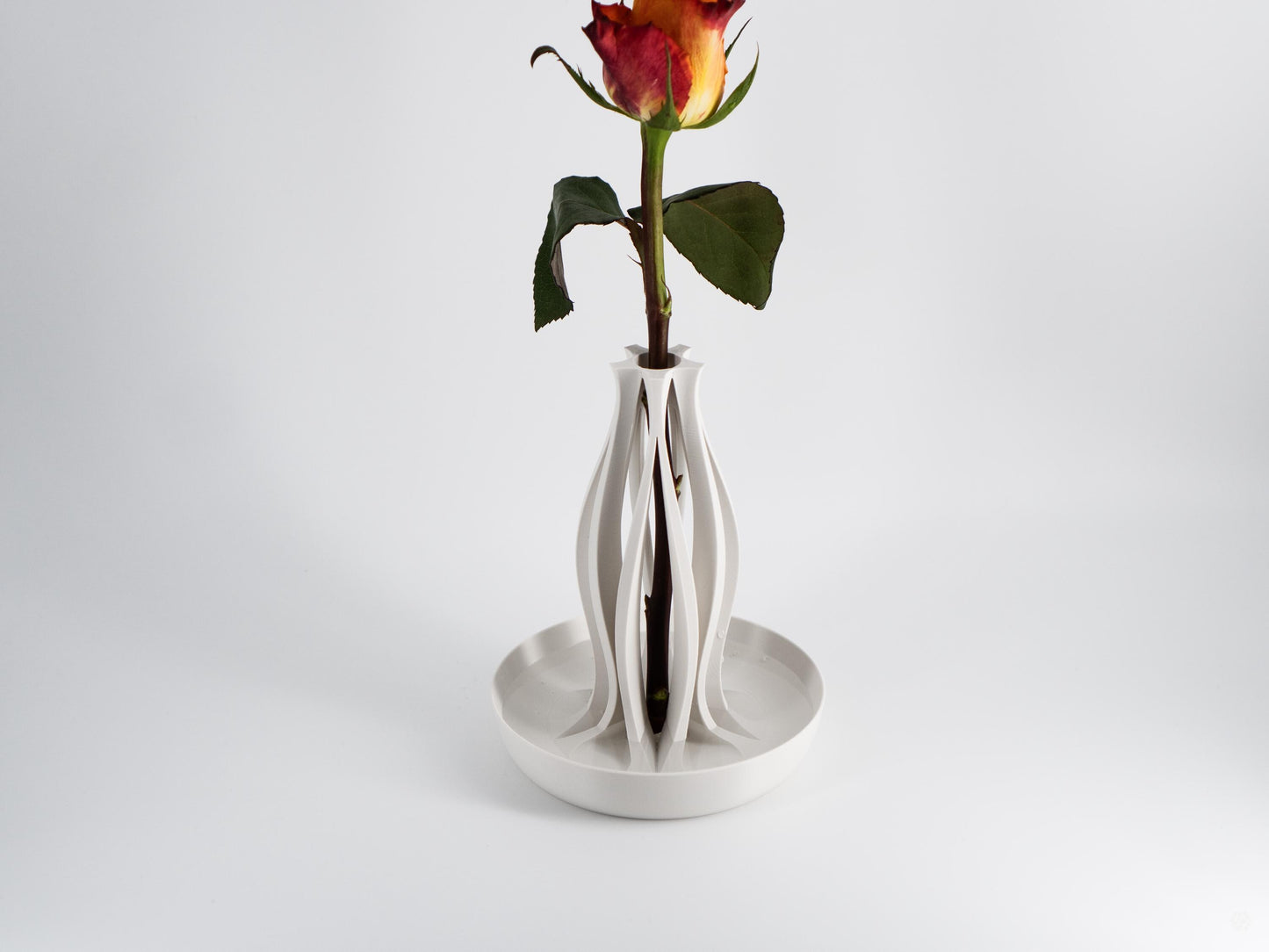 Emberflare Propagation Vase - Japandi Minimalist Artistic Vessel | Contemporary Test Tube Vase with Included 2 cm Propagation Tube