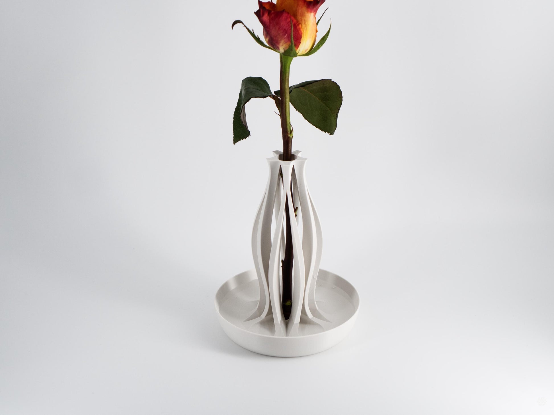 Emberflare Propagation Vase - Japandi Minimalist Artistic Vessel | Contemporary Test Tube Vase with Included 2 cm Propagation Tube