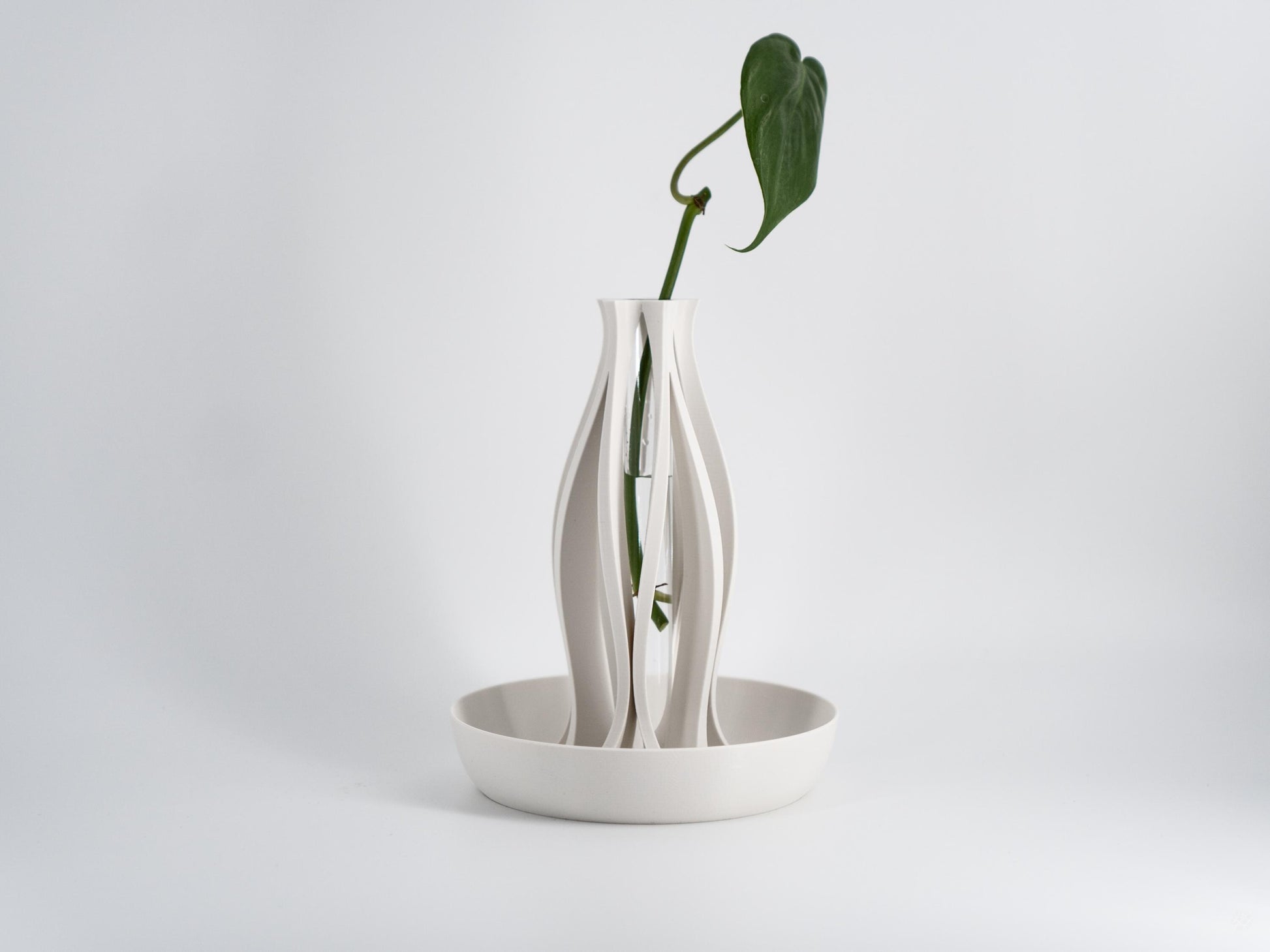 Emberflare Propagation Vase - Japandi Minimalist Artistic Vessel | Contemporary Test Tube Vase with Included 2 cm Propagation Tube