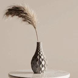 Modern Vase – Sculptural Modern Vase – Dried