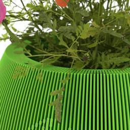 Modern Vase – Sculptural Modern Vase | Happy Easter Vase