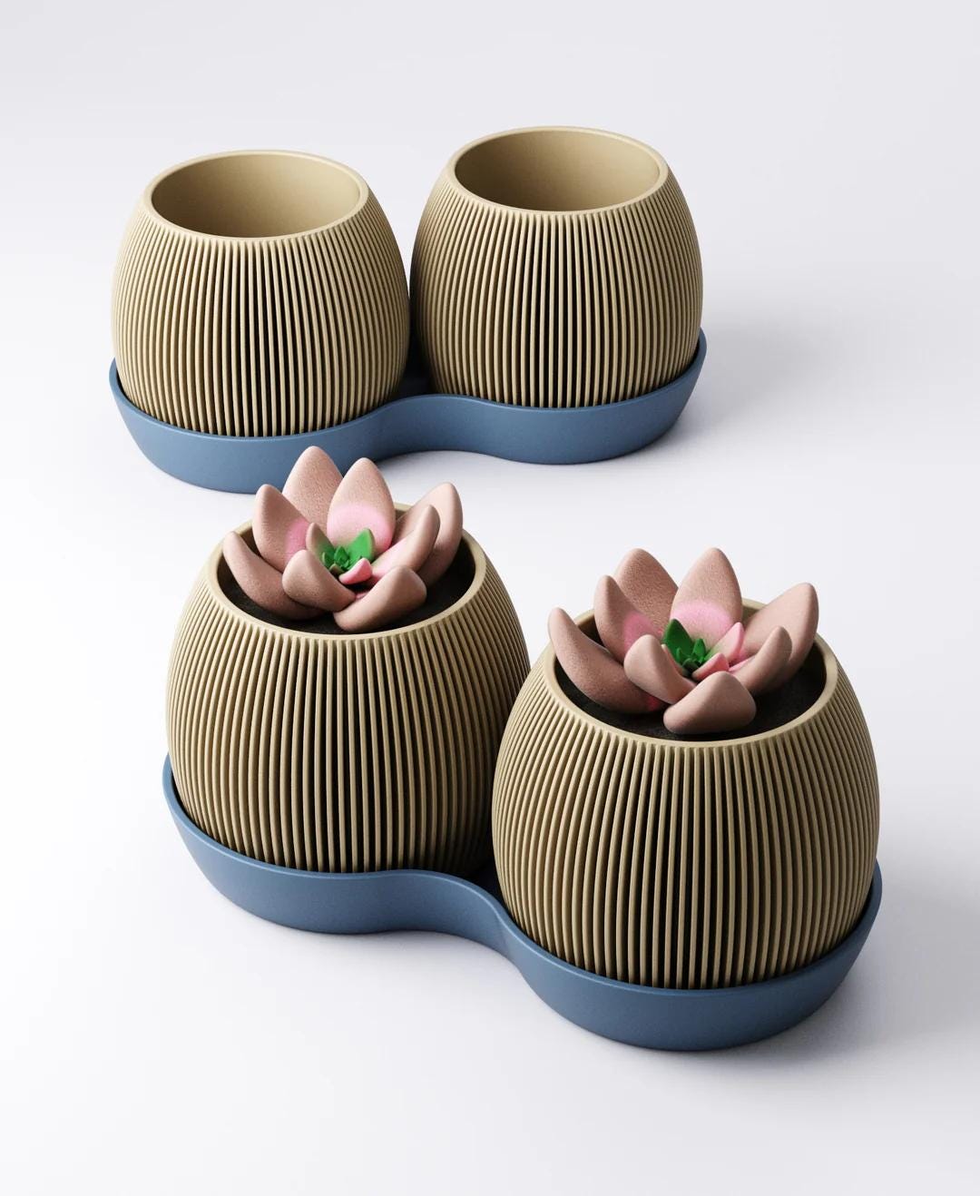 Gemini Orb Planter with Drip Tray - Twin Ribbed Round Pots | Sculptural Modern Indoor Accent