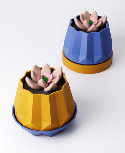Crown Planter with Drip Tray - Bold Faceted Indoor Plant Pot | Statement Modern Accent