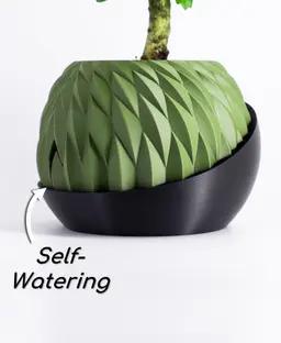 Aegis Planter | Self-Watering Indoor Pot with Scaled finish