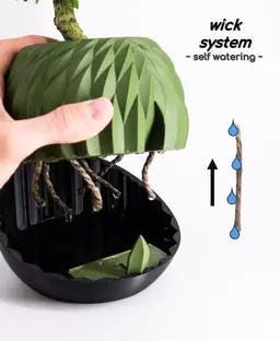 Aegis Planter | Self-Watering Indoor Pot with Scaled finish
