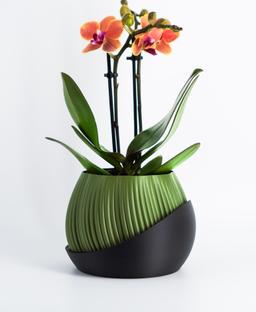 Bloomcrest Planter