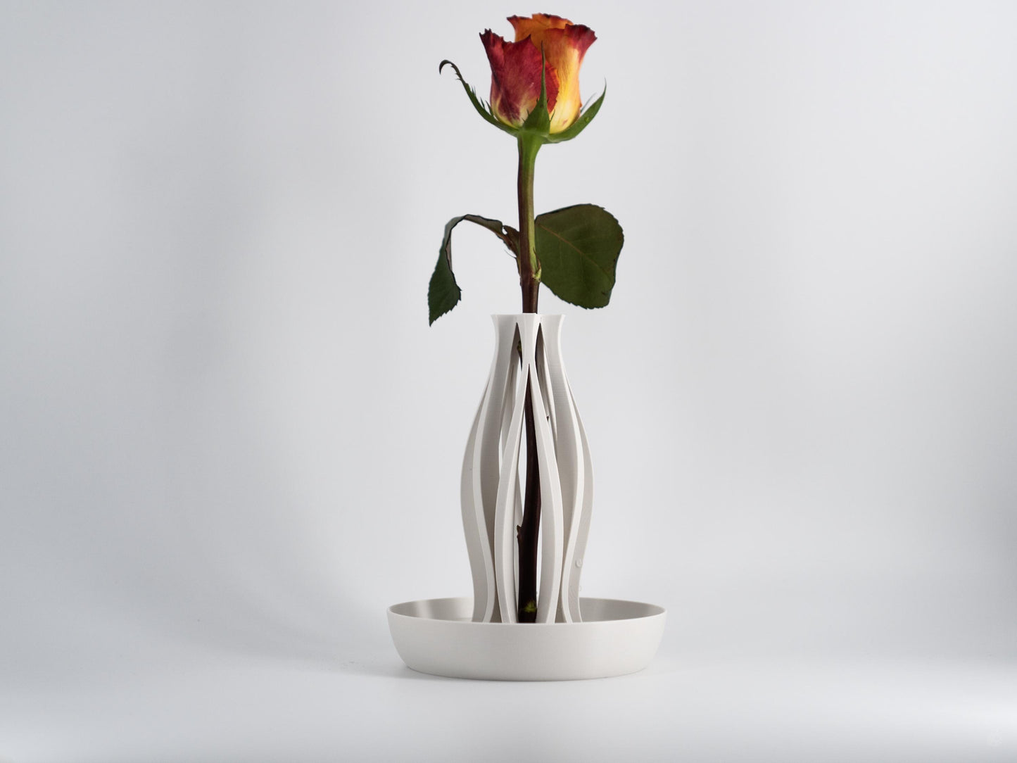 Emberflare Propagation Vase - Japandi Minimalist Artistic Vessel | Contemporary Test Tube Vase with Included 2 cm Propagation Tube
