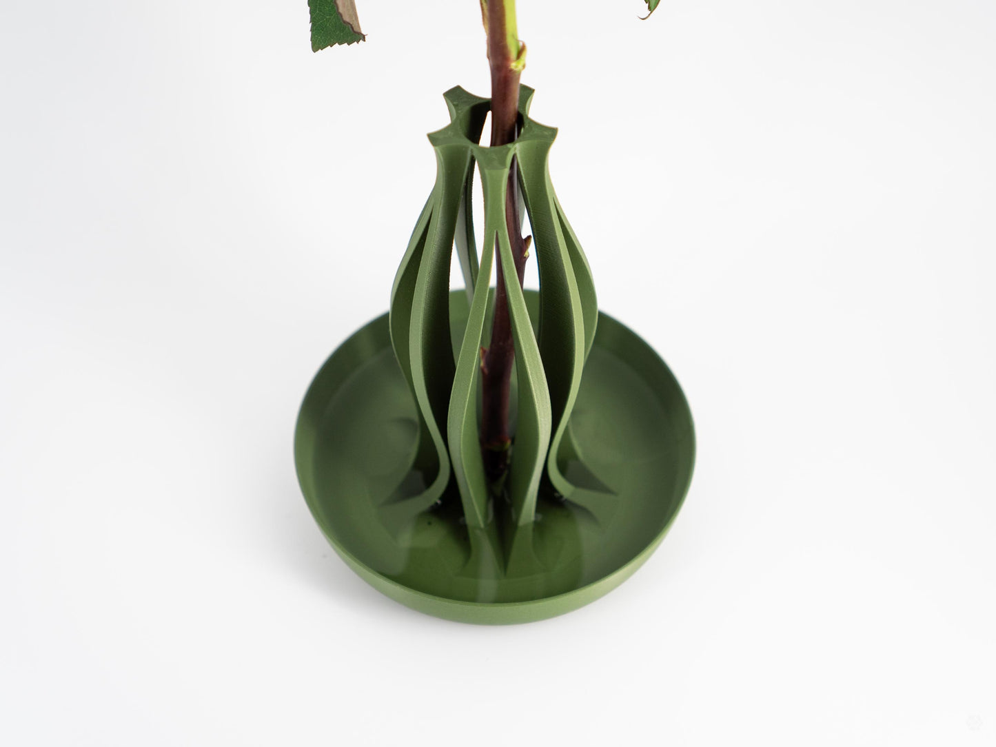 Emberflare Propagation Vase - Japandi Minimalist Artistic Vessel | Contemporary Test Tube Vase with Included 2 cm Propagation Tube