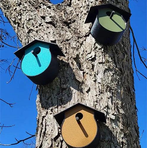 Classic Wall-Mount Birdhouse with 45mm Entry | Outdoor Nest Box