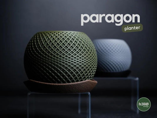 Paragon Lattice Planter with Elevated Drip Plate | Modern Indoor Pot
