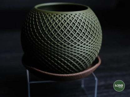 Paragon Lattice Planter with Elevated Drip Plate | Modern Indoor Pot