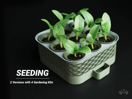 Self‑Watering Seed Starter with Greenhouse Cover