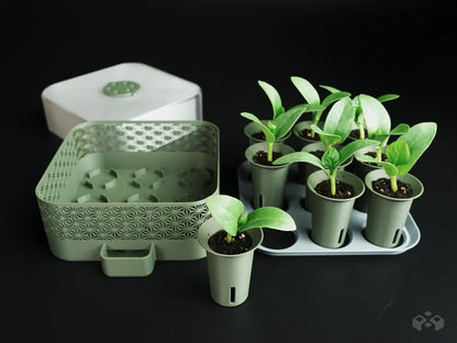 Self‑Watering Seed Starter with Greenhouse Cover