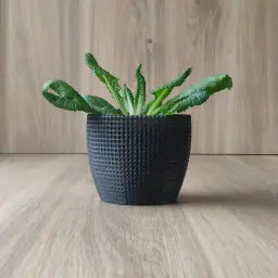 Modern Planter – Modern Indoor Plant Pot – Model (Planter%20 1255162)