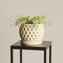 Modern Planter – with Drip Tray | Planter with dripping tray – Dripping