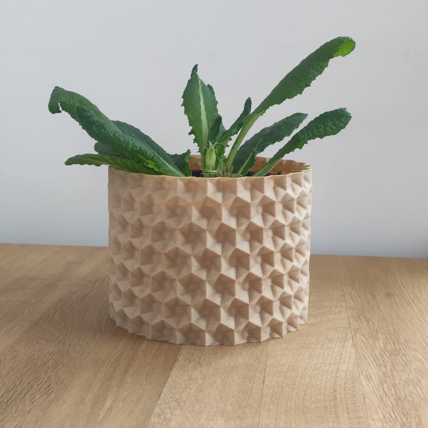 Modern Planter – Modern Indoor Plant Pot – Flowerpot