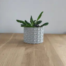 Modern Planter – Modern Indoor Plant Pot – Print