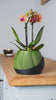 Bloomcrest Planter - Sculptural Indoor Pot with Matte Black Base | Minimalist Japandi Accent for Modern Living Spaces